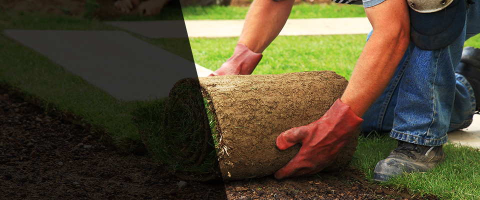 La Crosse Landscapers